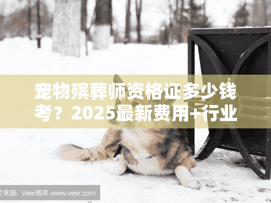 宠物殡葬师资格证多少钱考？2025最新费用+行业内幕全揭秘！