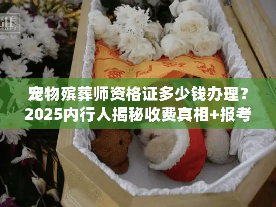 宠物殡葬师资格证多少钱办理？2025内行人揭秘收费真相+报考避坑技巧