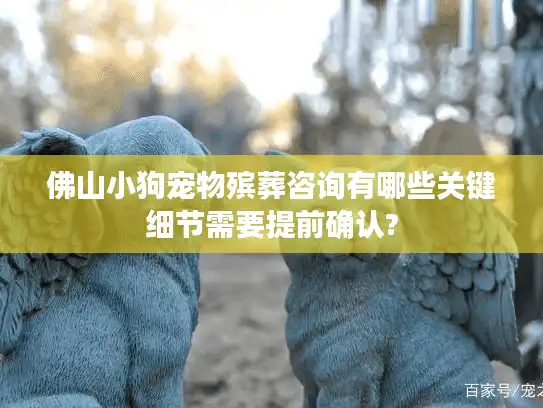 佛山小狗宠物殡葬咨询有哪些关键细节需要提前确认?