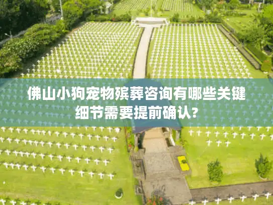 佛山小狗宠物殡葬咨询有哪些关键细节需要提前确认?