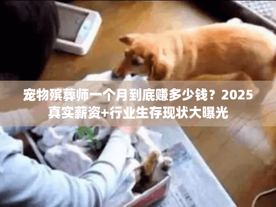 宠物殡葬师一个月到底赚多少钱？2025真实薪资+行业生存现状大曝光