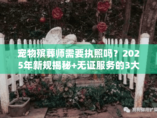 宠物殡葬师需要执照吗？2025年新规揭秘+无证服务的3大隐形风险