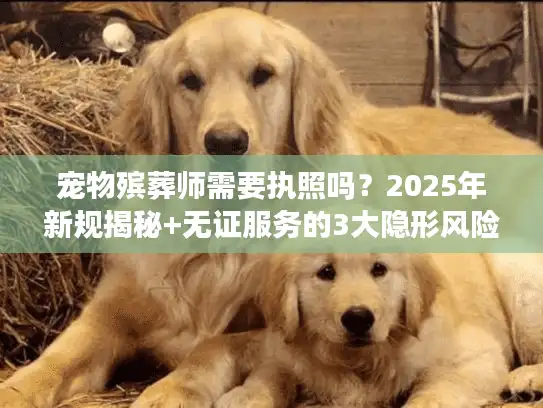 宠物殡葬师需要执照吗？2025年新规揭秘+无证服务的3大隐形风险