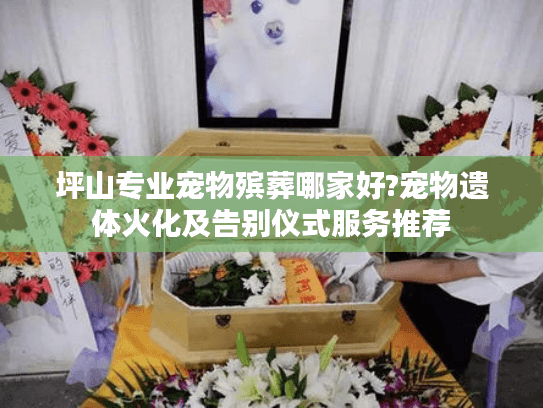 坪山专业宠物殡葬哪家好?宠物遗体火化及告别仪式服务推荐