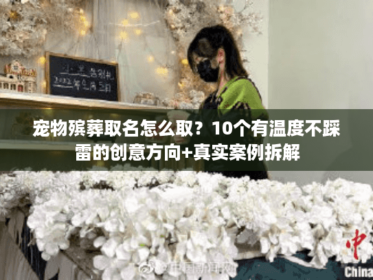 宠物殡葬取名怎么取？10个有温度不踩雷的创意方向+真实案例拆解