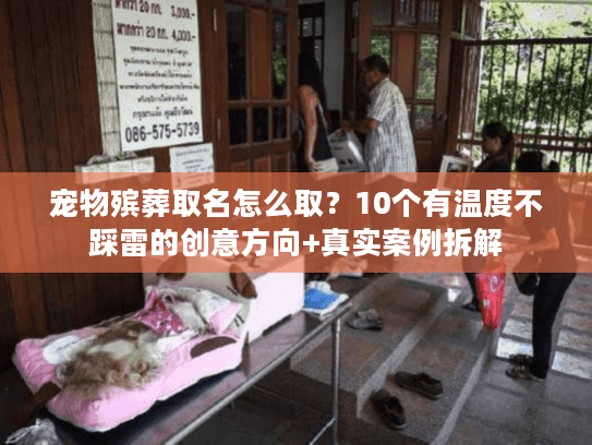 宠物殡葬取名怎么取？10个有温度不踩雷的创意方向+真实案例拆解