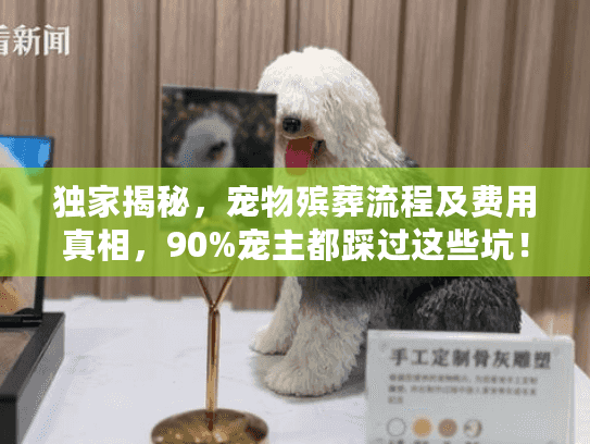 独家揭秘，宠物殡葬流程及费用真相，90%宠主都踩过这些坑！