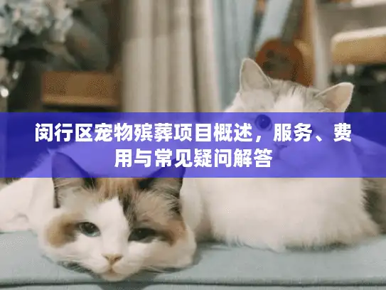 闵行区宠物殡葬项目概述，服务、费用与常见疑问解答