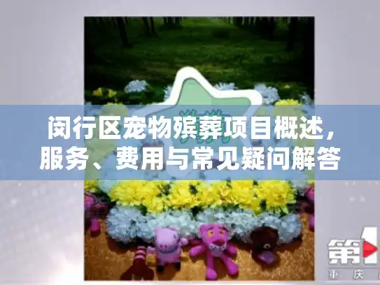 闵行区宠物殡葬项目概述，服务、费用与常见疑问解答