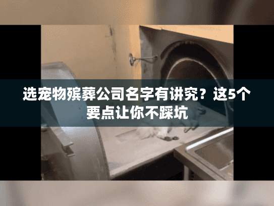 选宠物殡葬公司名字有讲究？这5个要点让你不踩坑