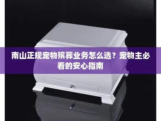 南山正规宠物殡葬业务怎么选？宠物主必看的安心指南