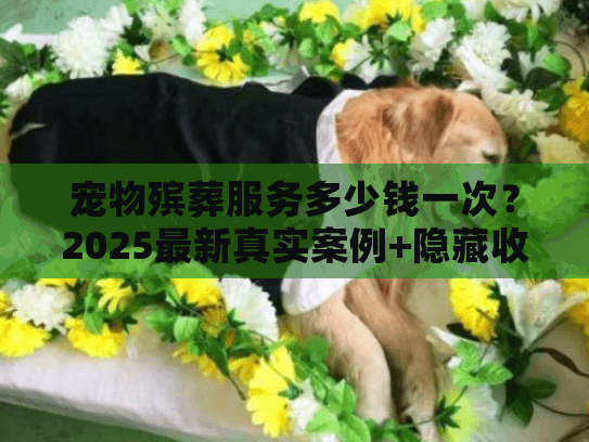 宠物殡葬服务多少钱一次？2025最新真实案例+隐藏收费揭秘