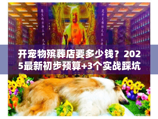开宠物殡葬店要多少钱？2025最新初步预算+3个实战踩坑案例揭秘