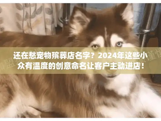 还在愁宠物殡葬店名字?2024年这些小众有温度的创意命名让客户主动进店! 还在愁宠物殡葬店名字?2024年这些小众有温度的创意命名让客户主动进店!