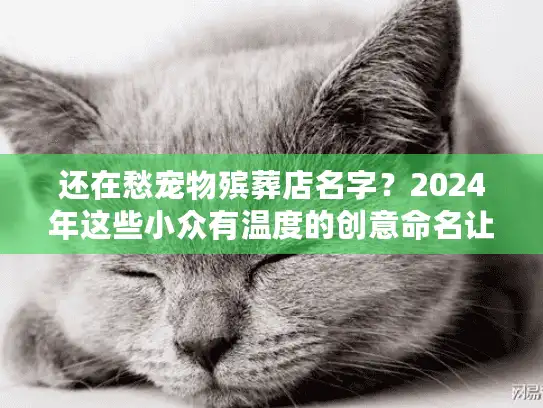 还在愁宠物殡葬店名字?2024年这些小众有温度的创意命名让客户主动进店! 还在愁宠物殡葬店名字?2024年这些小众有温度的创意命名让客户主动进店!