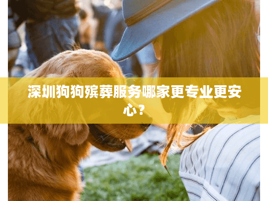 深圳狗狗殡葬服务哪家更专业更安心？
