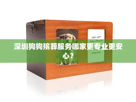 深圳狗狗殡葬服务哪家更专业更安心？