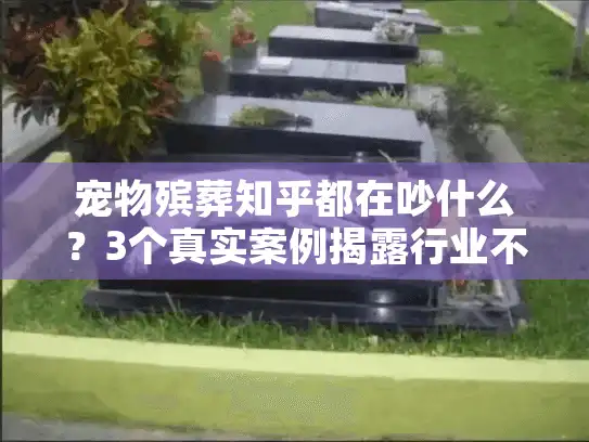 宠物殡葬知乎都在吵什么？3个真实案例揭露行业不为人知的门道！