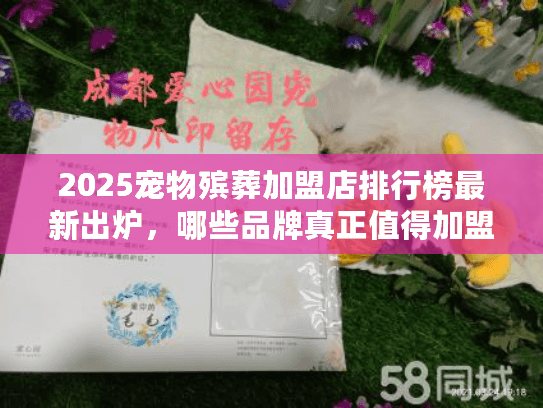 2025宠物殡葬加盟店排行榜最新出炉,哪些品牌真正值得加盟? 2025宠物殡葬加盟店排行榜最新出炉,哪些品牌真正值得加盟?