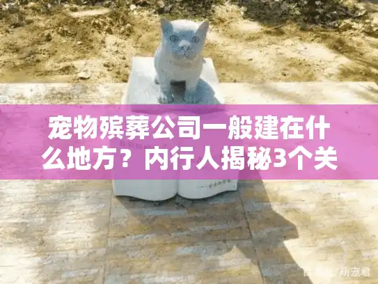 宠物殡葬公司一般建在什么地方？内行人揭秘3个关键选址门道（附真实案例）