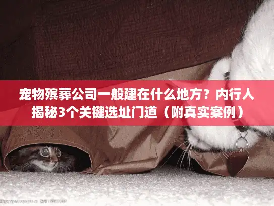 宠物殡葬公司一般建在什么地方？内行人揭秘3个关键选址门道（附真实案例）