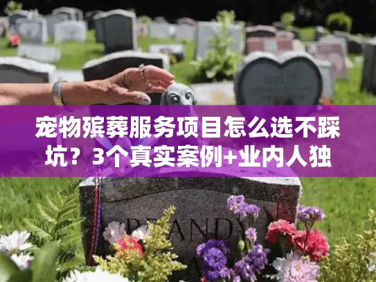 宠物殡葬服务项目怎么选不踩坑？3个真实案例+业内人独家解析