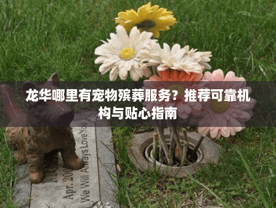 龙华哪里有宠物殡葬服务？推荐可靠机构与贴心指南