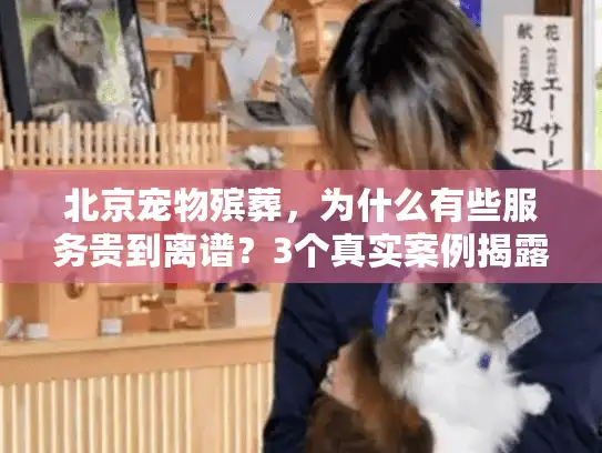 北京宠物殡葬，为什么有些服务贵到离谱？3个真实案例揭露背后真相