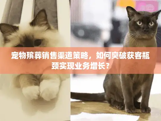 宠物殡葬销售渠道策略,如何突破获客瓶颈实现业务增长? 宠物殡葬销售渠道策略,如何突破获客瓶颈实现业务增长?