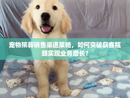 宠物殡葬销售渠道策略,如何突破获客瓶颈实现业务增长? 宠物殡葬销售渠道策略,如何突破获客瓶颈实现业务增长?