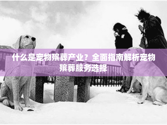 什么是宠物殡葬产业？全面指南解析宠物殡葬服务选择