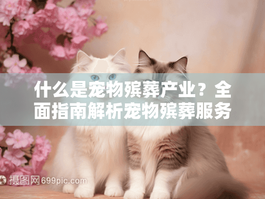 什么是宠物殡葬产业？全面指南解析宠物殡葬服务选择