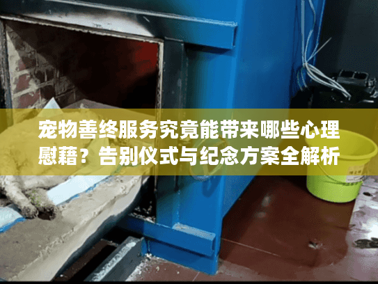 宠物善终服务究竟能带来哪些心理慰藉?告别仪式与纪念方案全解析 宠物善终服务究竟能带来哪些心理慰藉?告别仪式与纪念方案全解析