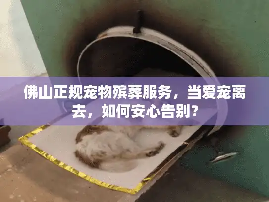 佛山正规宠物殡葬服务，当爱宠离去，如何安心告别？