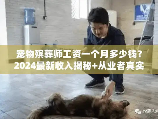 宠物殡葬师工资一个月多少钱？2024最新收入揭秘+从业者真实案例