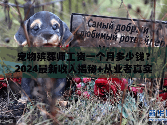 宠物殡葬师工资一个月多少钱？2024最新收入揭秘+从业者真实案例