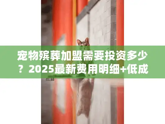 宠物殡葬加盟需要投资多少？2025最新费用明细+低成本开店案例拆解