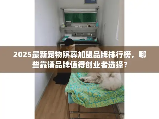 2025最新宠物殡葬加盟品牌排行榜，哪些靠谱品牌值得创业者选择？