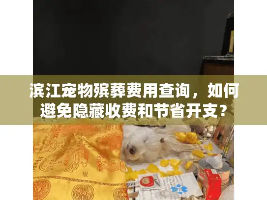 滨江宠物殡葬费用查询，如何避免隐藏收费和节省开支？