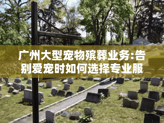 广州大型宠物殡葬业务:告别爱宠时如何选择专业服务?