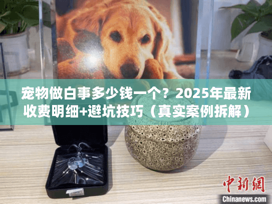 宠物做白事多少钱一个？2025年最新收费明细+避坑技巧（真实案例拆解）