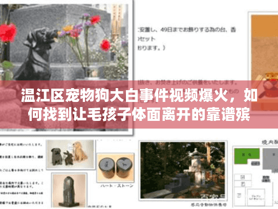 温江区宠物狗大白事件视频爆火，如何找到让毛孩子体面离开的靠谱殡葬服务？