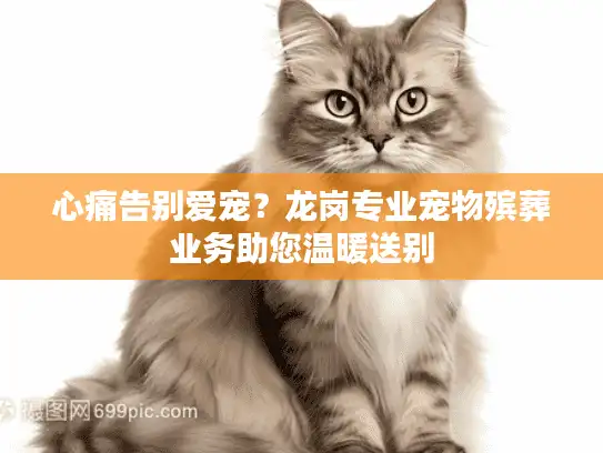 心痛告别爱宠？龙岗专业宠物殡葬业务助您温暖送别