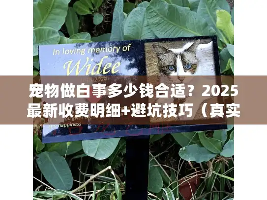宠物做白事多少钱合适?2025最新收费明细+避坑技巧(真实案例揭秘) 宠物做白事多少钱合适?2025最新收费明细+避坑技巧(真实案例揭秘)