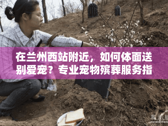 在兰州西站附近，如何体面送别爱宠？专业宠物殡葬服务指南