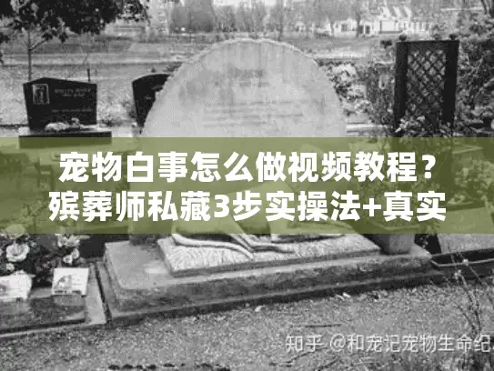 宠物白事怎么做视频教程？殡葬师私藏3步实操法+真实案例，新手也能上手