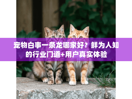 宠物白事一条龙哪家好？鲜为人知的行业门道+用户真实体验