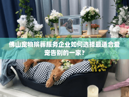 佛山宠物殡葬服务企业如何选择最适合爱宠告别的一家? 佛山宠物殡葬服务企业如何选择最适合爱宠告别的一家?