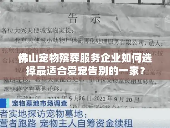 佛山宠物殡葬服务企业如何选择最适合爱宠告别的一家? 佛山宠物殡葬服务企业如何选择最适合爱宠告别的一家?
