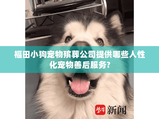 福田小狗宠物殡葬公司提供哪些人性化宠物善后服务? 福田小狗宠物殡葬公司提供哪些人性化宠物善后服务?